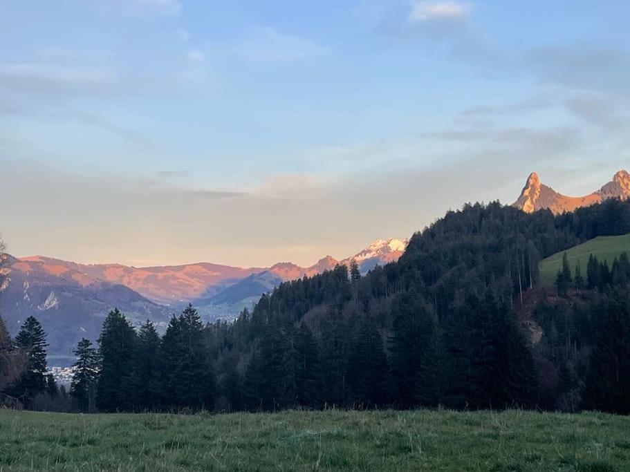 Joli Studio Au Pied Du Moleson Gruyeres Exteriör bild