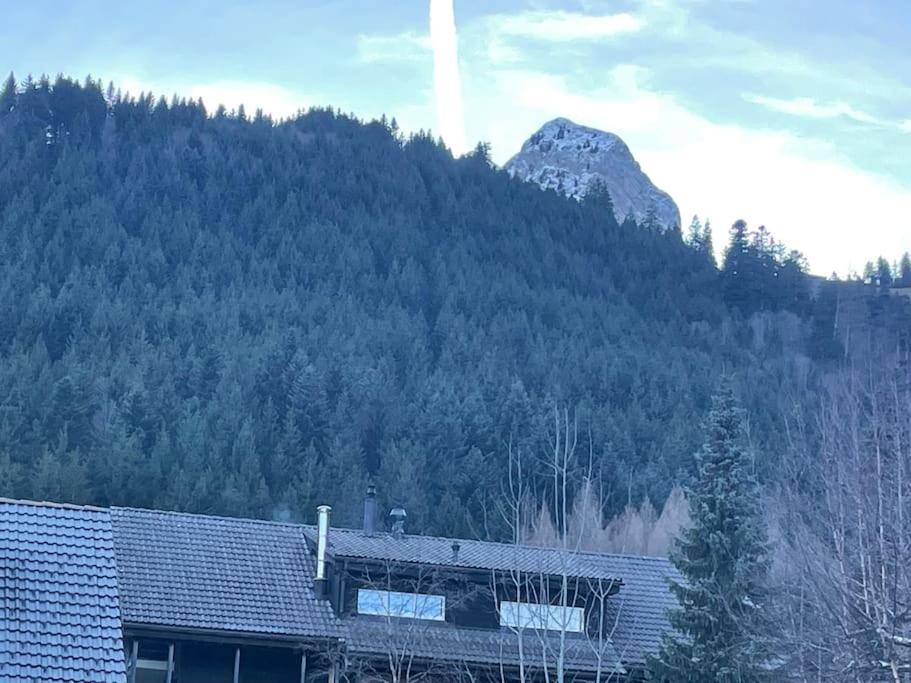 Joli Studio Au Pied Du Moleson Gruyeres Exteriör bild